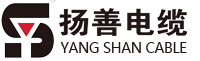 廣東三恩時(shí)科技有限公司